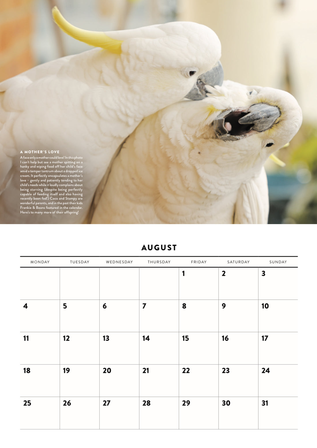 The Almond Cafe 2025 Calendar
