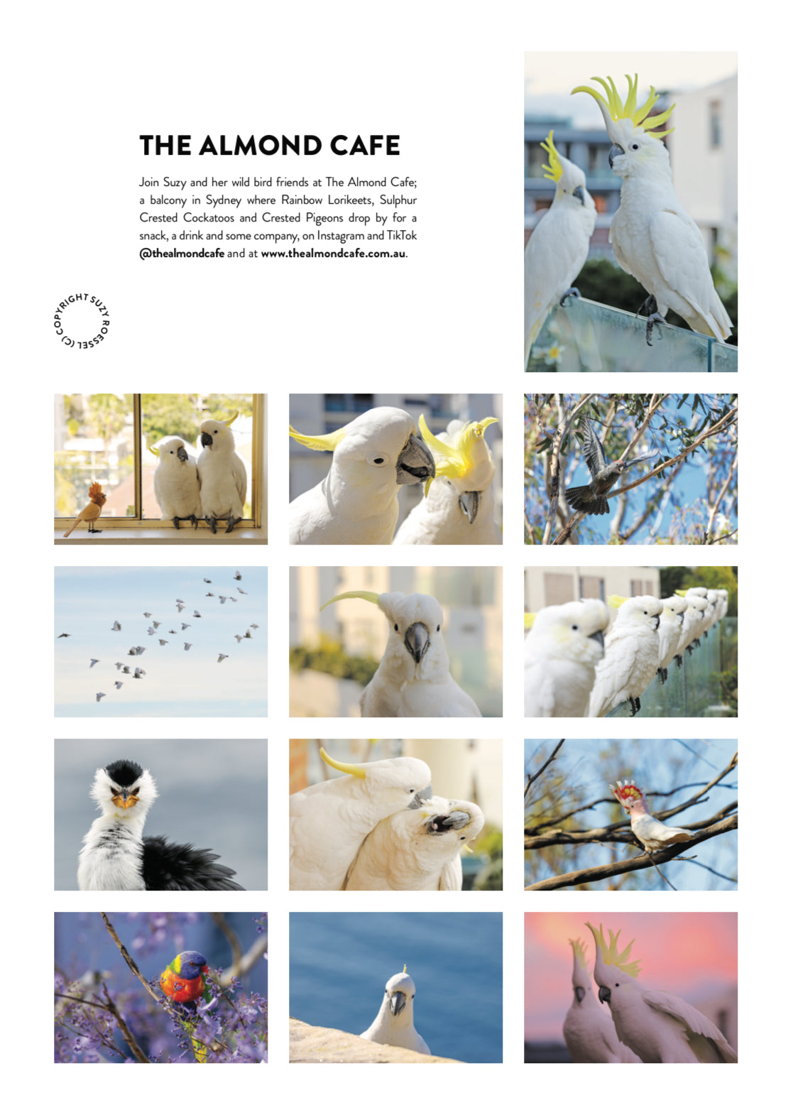 The Almond Cafe 2025 Calendar