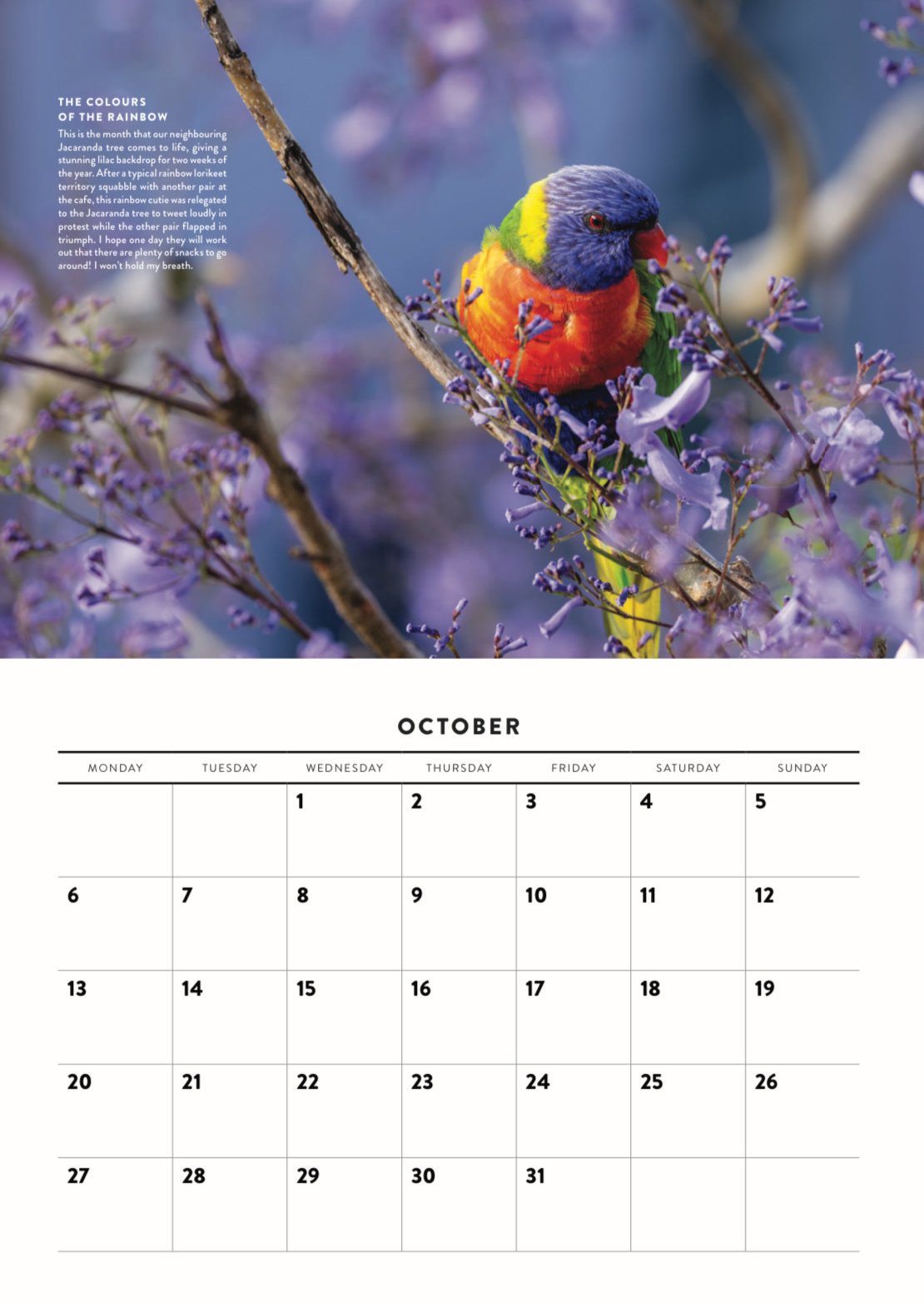 The Almond Cafe 2025 Calendar