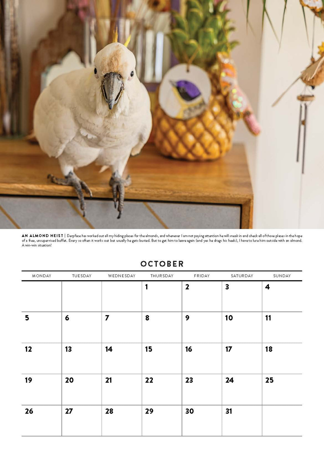 Our 2026 calendar has arrived!