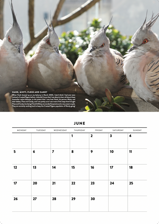 2023 Calendar COMING SOON