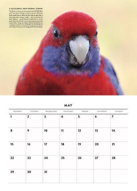 Crimson rosella