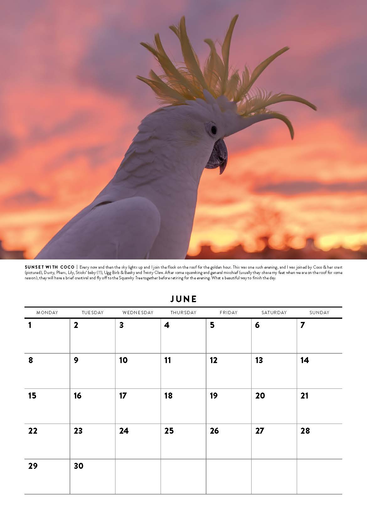 Calendar page with a cockatoo and sunset background