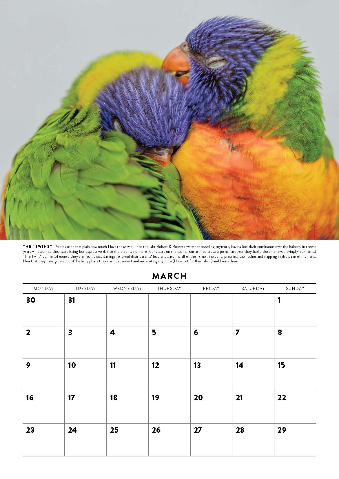 Calendar page with a colorful parrot illustration and March month details.